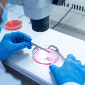 Health Business Solutions In Vitro Fertilisation